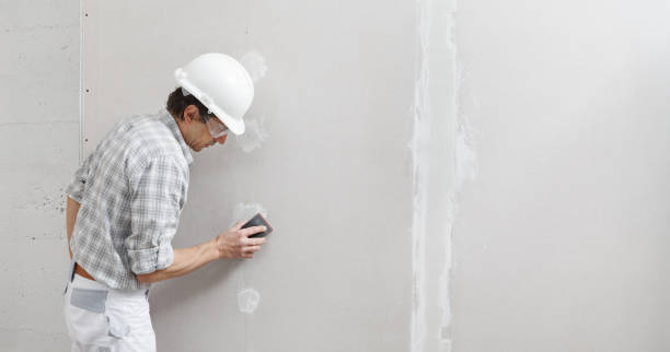 Best Mold Odor Removal Services  in Mahnomen, MN