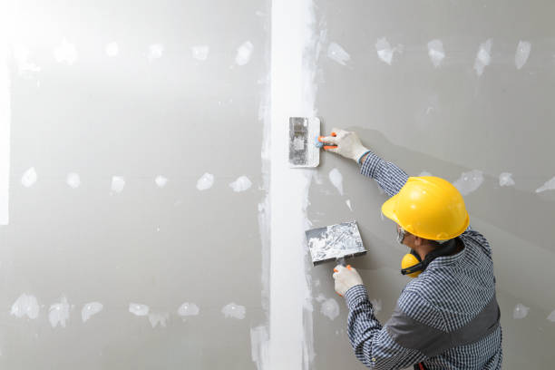 Best Mold Remediation for Healthcare Facilities  in Mahnomen, MN