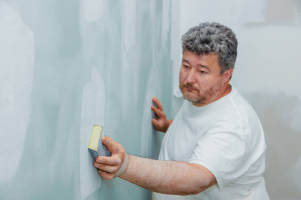 Best HVAC Mold Inspection and Cleaning  in Mahnomen, MN