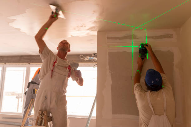 Best Attic Mold Removal  in Mahnomen, MN